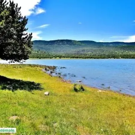 Petit Dans Апартаменты